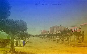 SAINT LEU 31